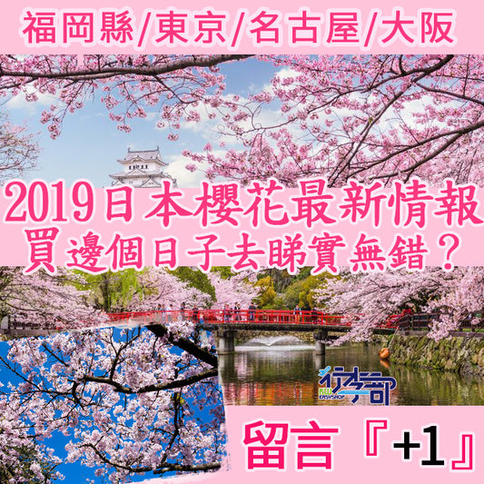 日本櫻花🌸2019 買邊個日子去睇實無錯？